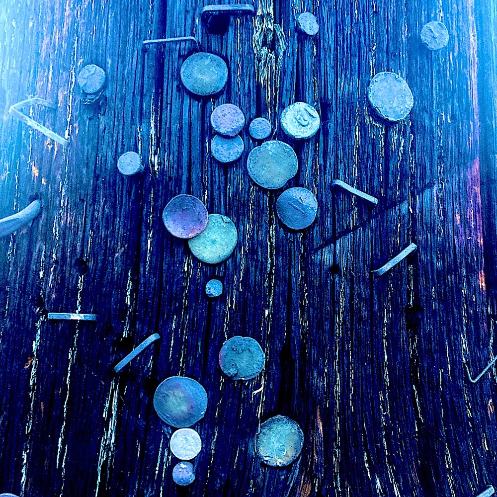 Meet your Posher, Lindsay